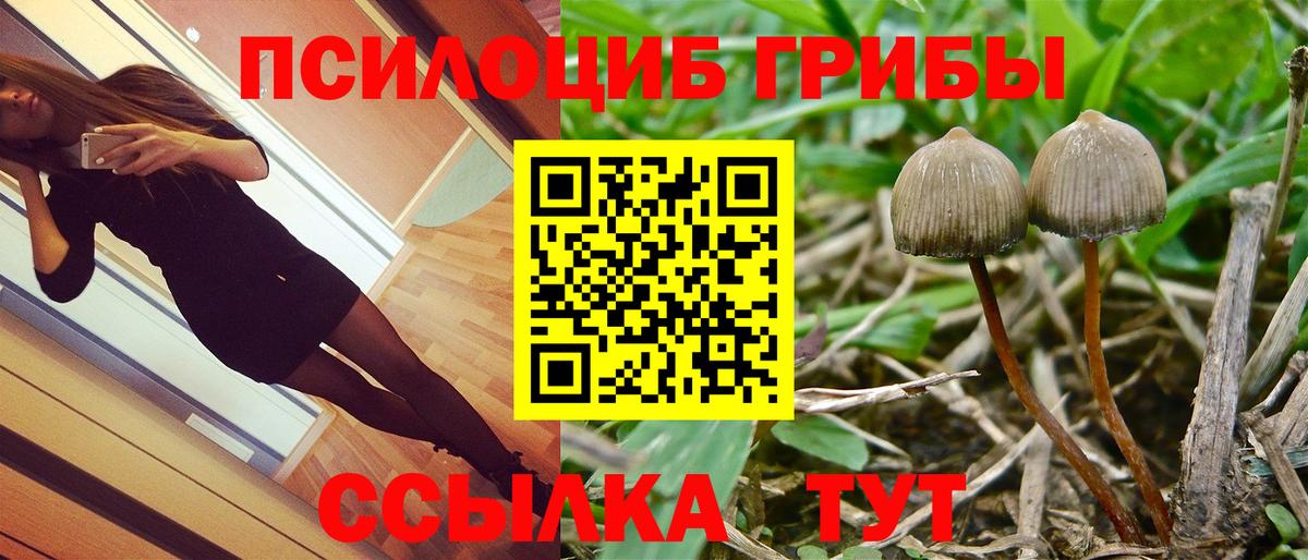 Галлюциногенные грибы прущие грибы Грязи