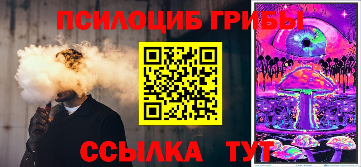 Псилоцибиновые грибы GOLDEN TEACHER  дарнет шоп  Вход с VPN  Грязи  Псилоцибиновые грибы GOLDEN TEACHER 